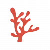 icone_corail